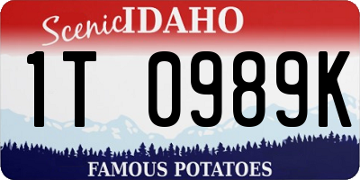 ID license plate 1T0989K