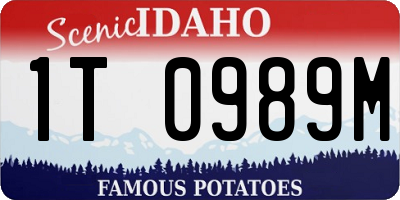 ID license plate 1T0989M