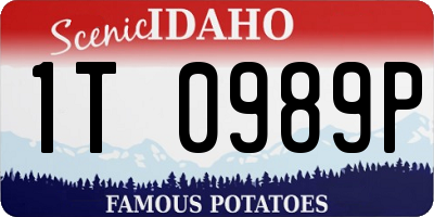 ID license plate 1T0989P