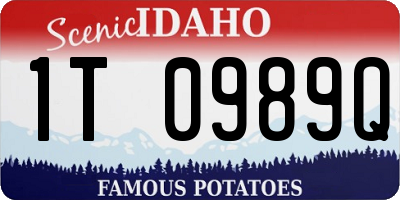 ID license plate 1T0989Q