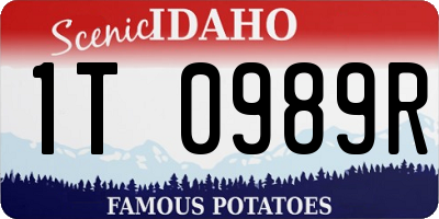 ID license plate 1T0989R