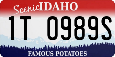 ID license plate 1T0989S