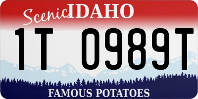 ID license plate 1T0989T
