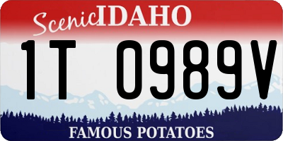 ID license plate 1T0989V