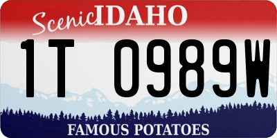 ID license plate 1T0989W