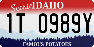 ID license plate 1T0989Y