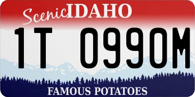 ID license plate 1T0990M