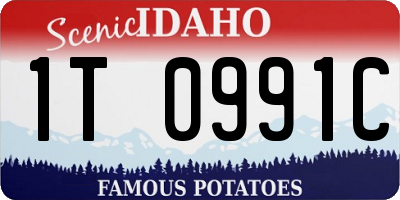 ID license plate 1T0991C