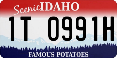 ID license plate 1T0991H