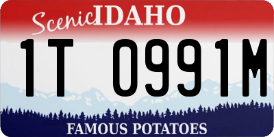 ID license plate 1T0991M