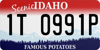 ID license plate 1T0991P
