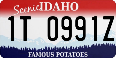 ID license plate 1T0991Z