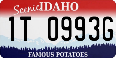ID license plate 1T0993G