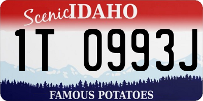 ID license plate 1T0993J
