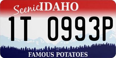 ID license plate 1T0993P