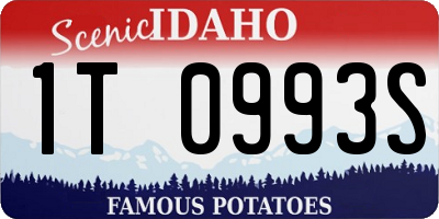 ID license plate 1T0993S