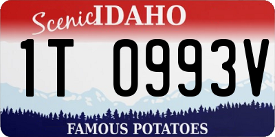 ID license plate 1T0993V