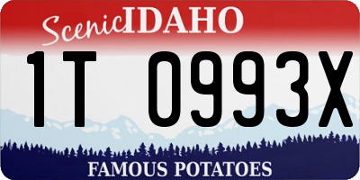 ID license plate 1T0993X