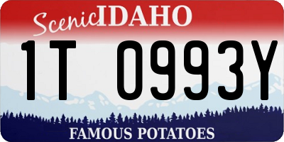 ID license plate 1T0993Y