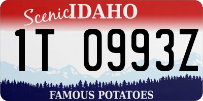 ID license plate 1T0993Z