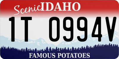 ID license plate 1T0994V