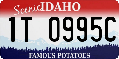 ID license plate 1T0995C