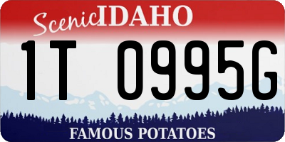 ID license plate 1T0995G