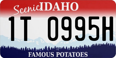 ID license plate 1T0995H