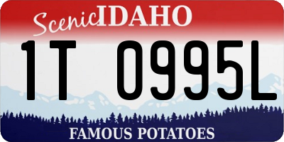 ID license plate 1T0995L