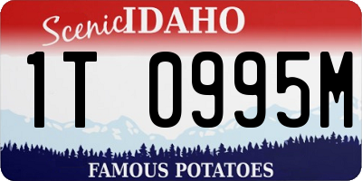ID license plate 1T0995M