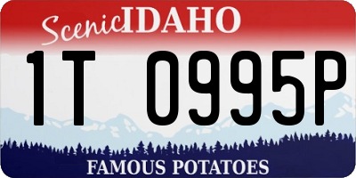 ID license plate 1T0995P