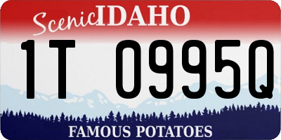 ID license plate 1T0995Q