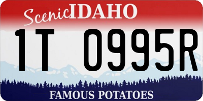 ID license plate 1T0995R
