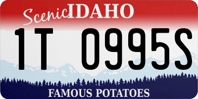 ID license plate 1T0995S