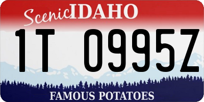 ID license plate 1T0995Z