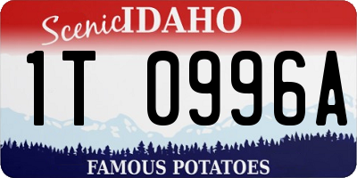 ID license plate 1T0996A