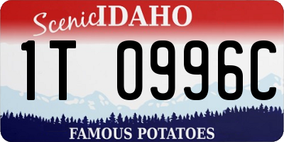 ID license plate 1T0996C