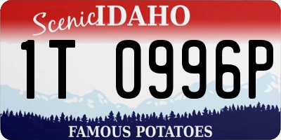 ID license plate 1T0996P