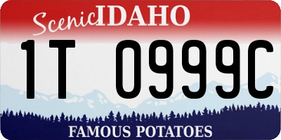 ID license plate 1T0999C
