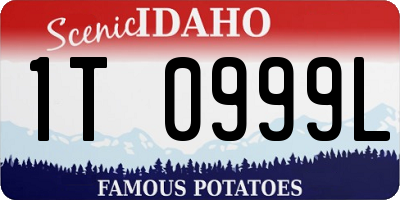 ID license plate 1T0999L