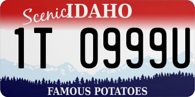 ID license plate 1T0999U