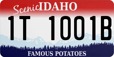 ID license plate 1T1001B