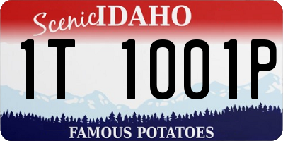 ID license plate 1T1001P