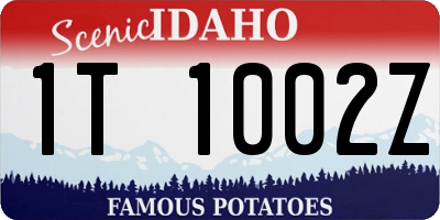 ID license plate 1T1002Z