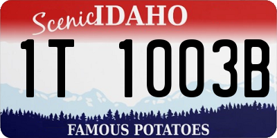 ID license plate 1T1003B
