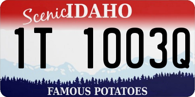 ID license plate 1T1003Q