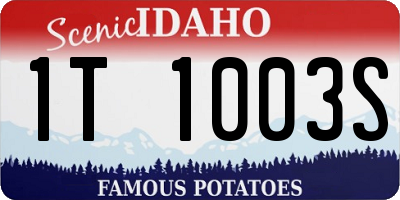 ID license plate 1T1003S