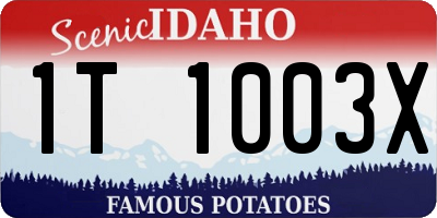 ID license plate 1T1003X