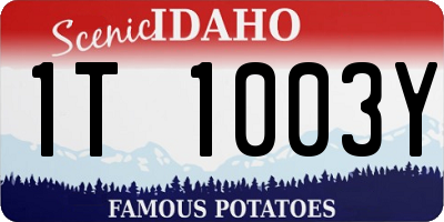 ID license plate 1T1003Y