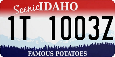 ID license plate 1T1003Z